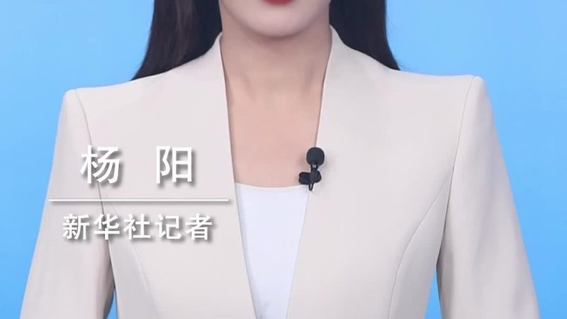 科技成果转化：揭秘专家咨询背后的专业之道